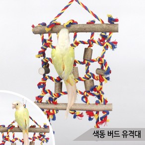 색동 버드 유격대 앵무새 로프 장난감 사다리 OF-0648, 상세 설명 참조, 1개