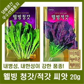 웰빙 청갓/적갓 씨앗 20g - 청갓 씨앗 적갓 씨앗 mustad geens, 웰빙청갓, 1개