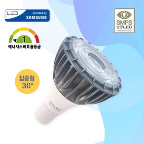 남영 LED PAR30 30W 집중형 지향형 전구색 주백색, 1개