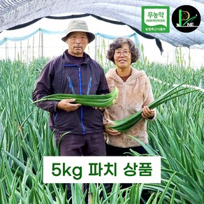 피네농장 무농약 생알로에 (알로에베라 5kg파치/알로에베라 모종) 식용 생잎 먹는 알로에 베라, 5kg, 1박스, 알로에베라 5kg파치