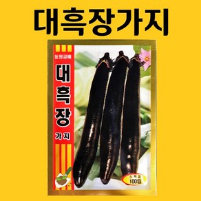 농사친구 대흑장 가지 100g 동원 씨 종자 쪽파 고사리 명이나물 산상추 초당옥수수 항암배추 담배 산마늘 아스파라거스 고수, 1개