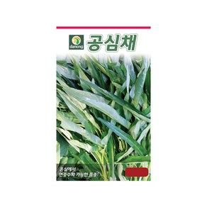 다농 공심채 씨앗 10g