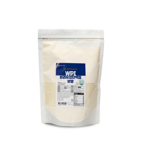 백세식품 WPI 분리유청단백질분말 500g팩 50일분, 2개, 500g