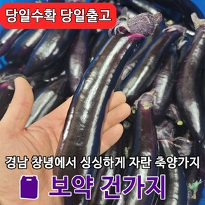 [원라마켓]경남 창녕 산지직송 특품 축양가지