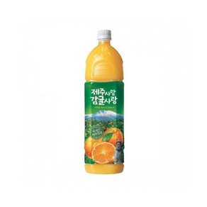 제주사랑 감귤사랑 주스 페트 음료, 12개, 1.5L