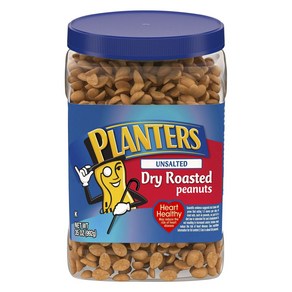 PLANTERS 언솔티드 드라이 로스티드 피넛