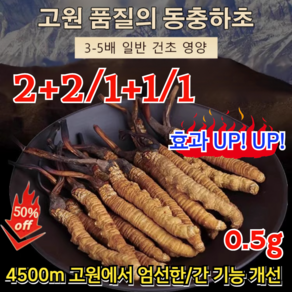 2+2/1+1/1 고급 동충하초 효과 UP! UP! 자연산 동충하초 동충하초 절편 4500m 고원에서 엄선한/간 기능 개선, [1] 0.5g