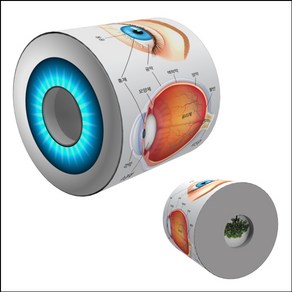 뉴 눈으로 보는 눈의 구조(1인용)-ZFB