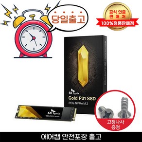 SK하이닉스 GOLD P31 NVMe SSD+고정나사포함+안전포장+당일출고, 1TB