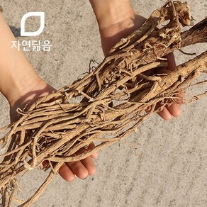 자연닮음 국산 제천 대황기 통 300g, 1개