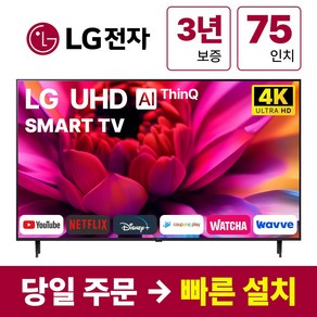 LG전자 75인치(190Cm) 4K UHD 스마트 TV 75UR8000 23년형, 방문설치, 벽걸이형, UR8000, 75인치