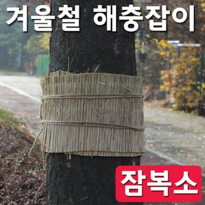 [조이가든] 잠복소, 1개