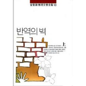 반역의 벽(상권)(김성종추리문학전집 13), 남도