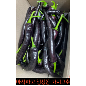 아삭하고 싱싱한 가지고추 500g 1kg 2kg 보라가지고추 미인고추 가지 고추 보라색고추 아삭이고추 가지고추씨앗 가지고추모종