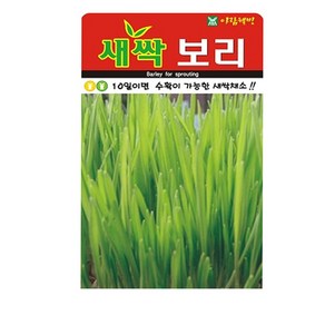 SN월드 (새싹 보리 씨앗 )새싹씨앗 웰빙 텃밭, 1개