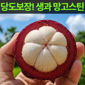 [재구매율1위] 달콤가득 태국 항공직송 프리미엄 생망고스틴, 1박스, 생과 500g