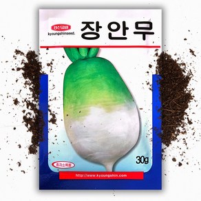 씨앗팜 장안무 씨앗 종자 30g 김장용 무 씨, 1개