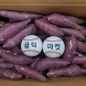 클릭마켓 영암 꿀고구마 베니하루카 햇 겨울 고구마 5kg, 1개