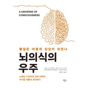 뇌의식의 우주:물질은 어떻게 상상이 되었나, 한언, 제럴드 M. 에델만