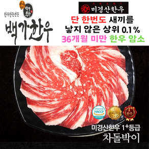 미경산한우 1+ 차돌박이 300g x 1팩 300g, 1개