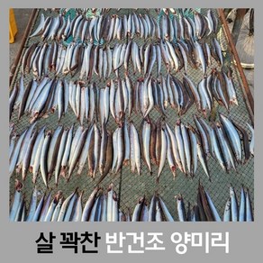 [힘찬열매] 반건조 양미리 급냉 제철, 1개, 20 마리