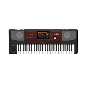 KORG 코르그 Pa700, 1개