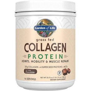 가든오브라이프 Gaden of Life Gass Fed Collagen Potein Powde Chocolate 588g, 1개