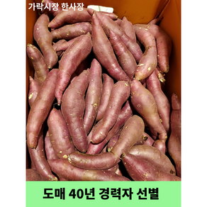 가락시장 한사장 못난이 고구마 밤고구마 (도매 40년 경력자가 선별)