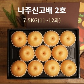 나주 배 햇 꿀 신고배 선물세트 가정용실속 중대과, 1세트, 배2호(7.5kg 11~12과)