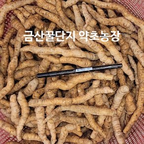 생지황(중품) 300g/500g/1kg / 금산굴단지 약초농장 생지황, 1개, 1kg