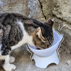 나마스펫 고양이 밥그릇 강아지 물그릇 1구