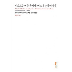 타오르는 어둠 속에서/어느 계단의 이야기, 문학과지성사, 안토니오 부에로 바예호 저/김보영 역