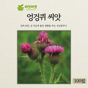 아람종묘 엉겅퀴 씨앗 100립 국산 종자, 1개