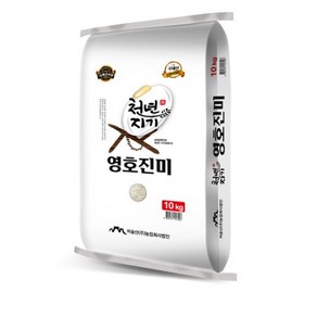 천년지기 2023년 영호진미 백미, 10kg, 1개