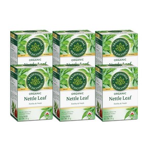 트레디셔날 메디시날스 Taditional Medicinals Nettle Leaf 쐐기풀 잎 차 16티백 x6, 32g, 16개입, 6개