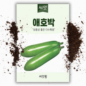 씨앗팜 애호박 씨앗 (10립), 1개