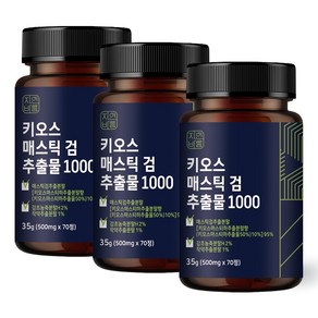 자연바름 키오스 매스틱 검 순도 96.5% 메스틱 검 추출 분말 정 위, 3개, 35g