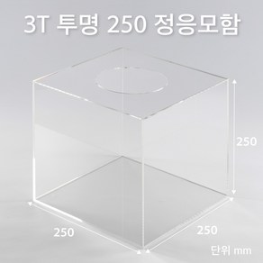 조이사인 정사각 응모함 250x250 / 두께3mm 투표함 모금함 아크릴상자 매장/진열용품