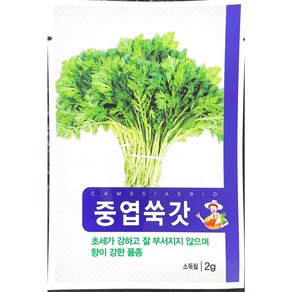 중엽 쑥갓 씨앗, 1개