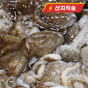 (한정판매) 산지 급냉 쭈꾸미 서해안 산지 직송, 1박스, 1kg