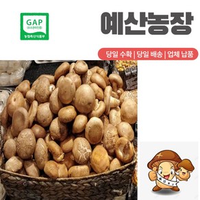 GAP인증 생표고버섯 동고 중품 (가정용) 추천, 4kg, 1개