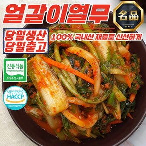 [건채담] 100% 국산재료 전라도 명가 얼갈이열무김치 3kg, 1개