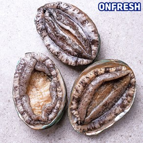 완도활전복 1kg 산소팩, [D호] 8-9미 1kg, 1개