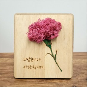 감나무아트 카네이션액자만들기 키트, 1개