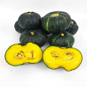 과일장수언니 제주 단호박 미니 밤호박 보우짱단호박 밤단호박 autumn squash [원산지:국산(제주특별자치도)], 1개, 2kg