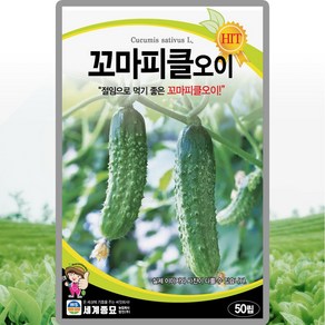 세계종묘 꼬마피클오이 씨앗 50립 청색 피클오이씨 오이씨앗 오이종자 종자, 1개