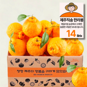 제주농원 14Bix 당도선별 한라봉 가정용, 1개, 3kg(15과 내외)