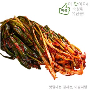 이슬처럼 맛있다! 수입산 파김치 5kg 중국산 (옵션A:일반파김치), 1개