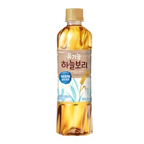 [웅진식품] 유기농 하늘보리 500ml x 12페트