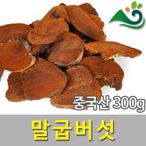 청명약초 말굽버섯(300g)-중국산, 300g, 1, 1개